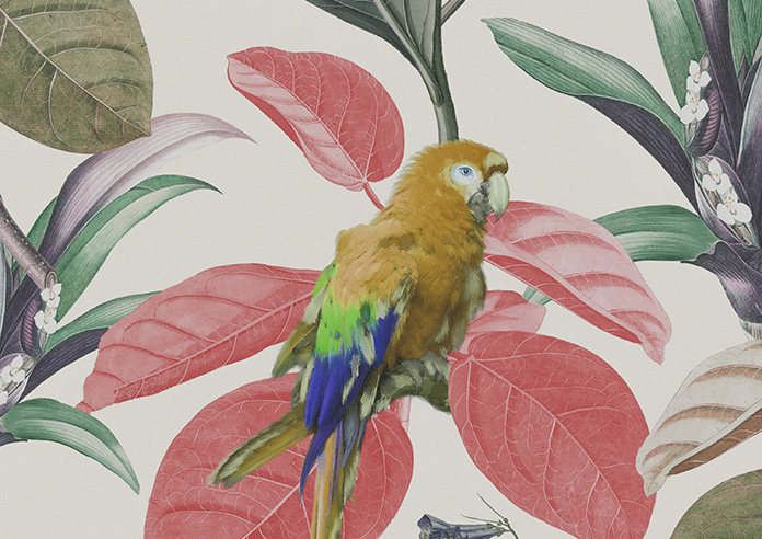 Parakeet Faux Silk, Fruit Punch - Made to Measure Curtain - Image 9